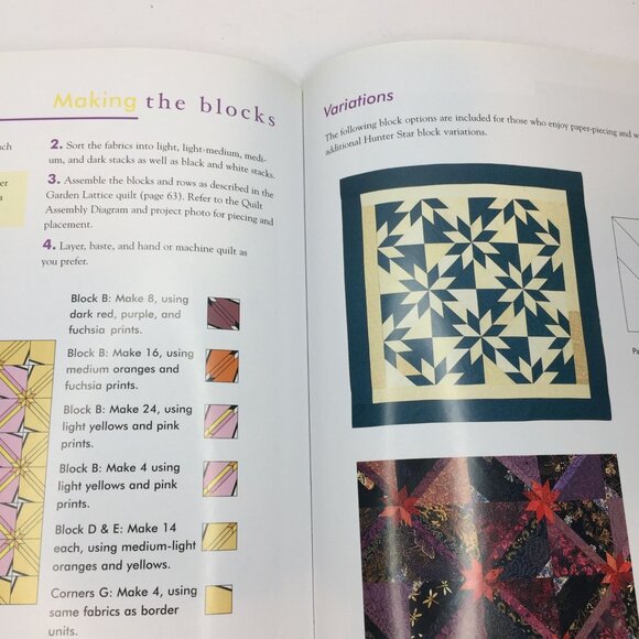 Hunter Star Quilts & Beyond Jan Krentz Techniques Projects Infinite Possibilitie - Picture 9 of 13